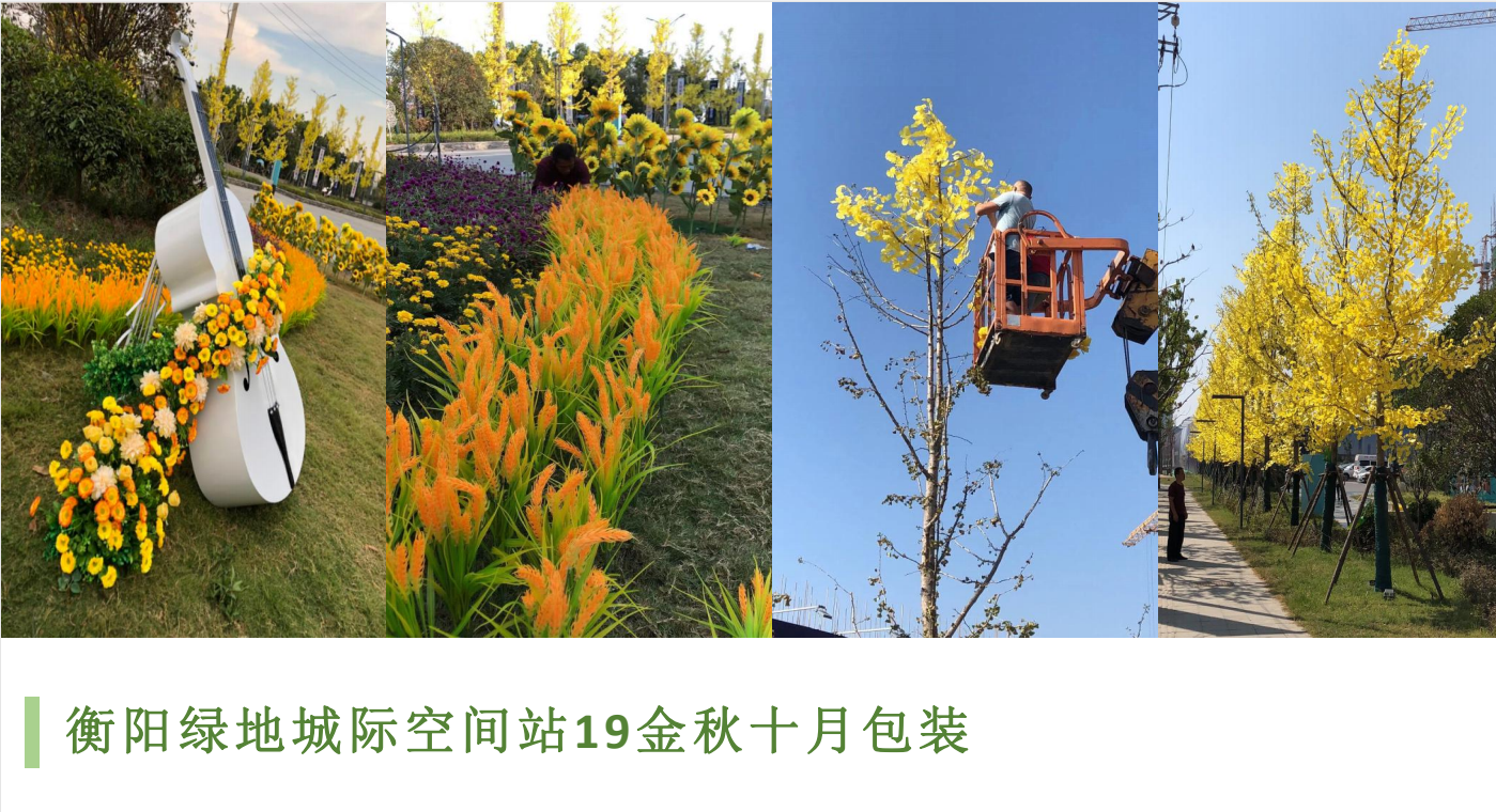 微信图片_20260509112848.png